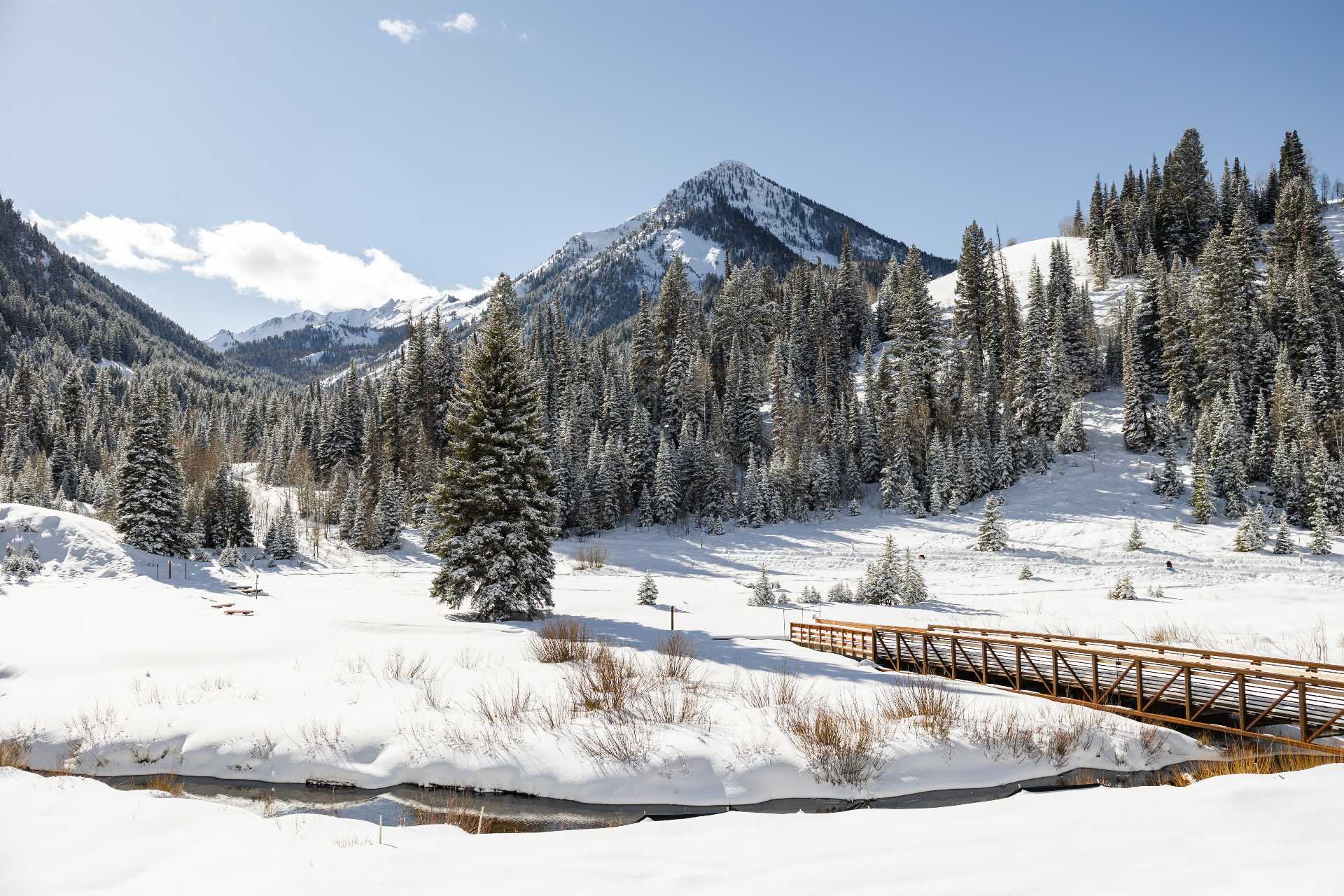 Snowy mountain valley with evergreen trees and a wooden footbridge crossing a creek under a clear winter sky