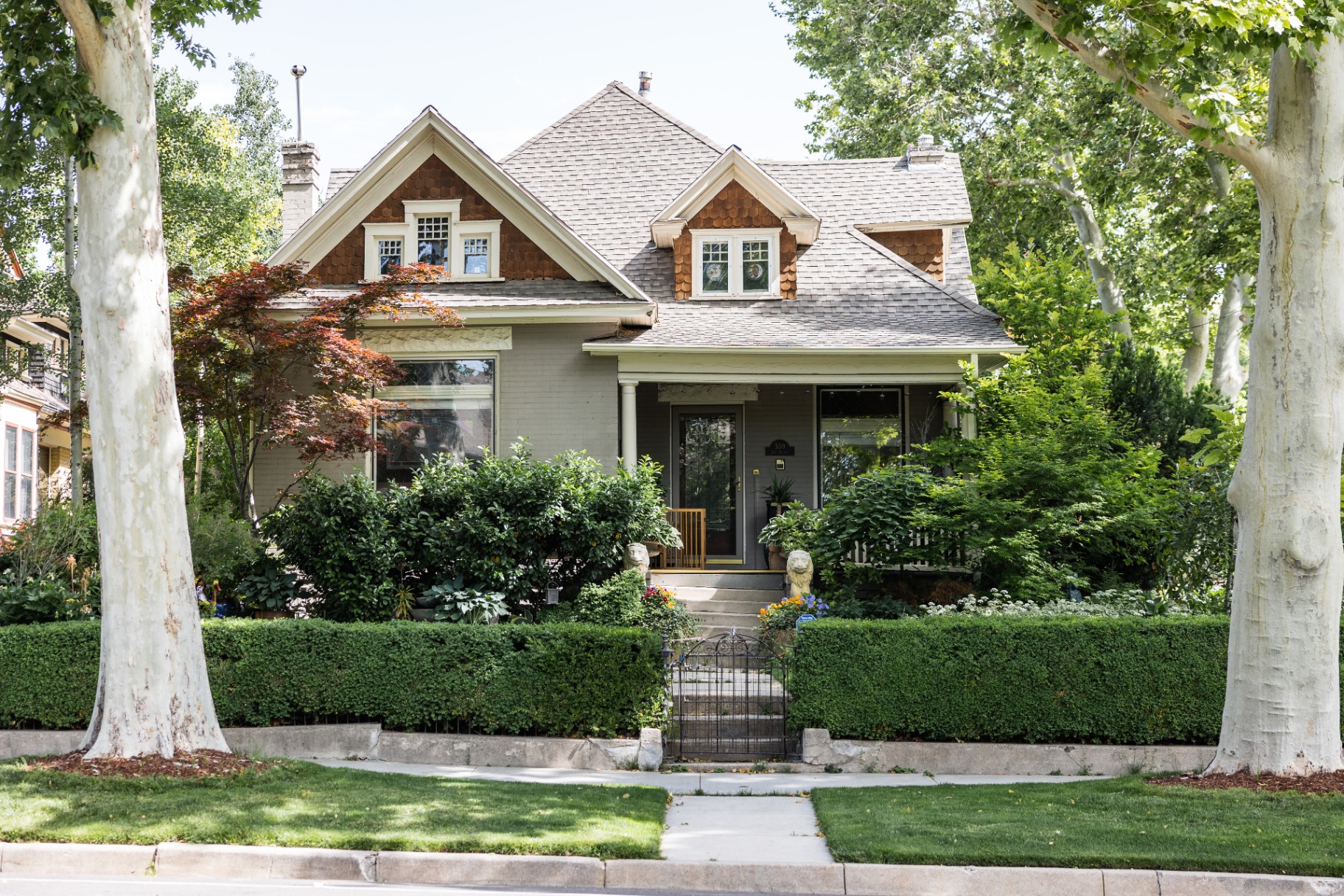 Craftsman home exterior framed by sycamore trees
